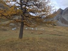 abreuvoirs.2