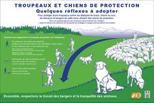 GESTES A ADOPTER